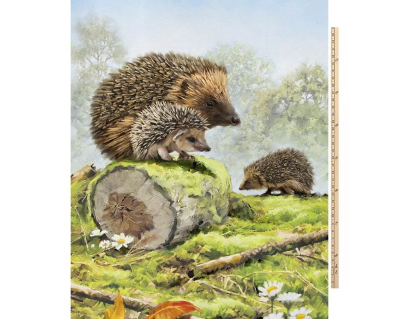Hedgehogs Digital Cotton Print Fabric Panel | 100% Cotton | Sold By the Panel